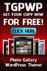 Get this theme free now!